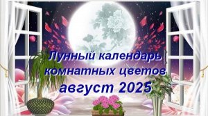 Лунный календарь комнатных растений и цветов на август 2025 года