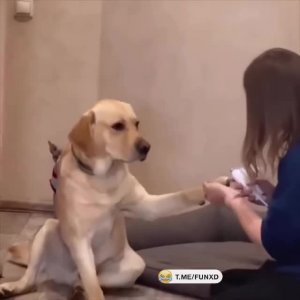Актёр, у которого нет «Оскара»😁