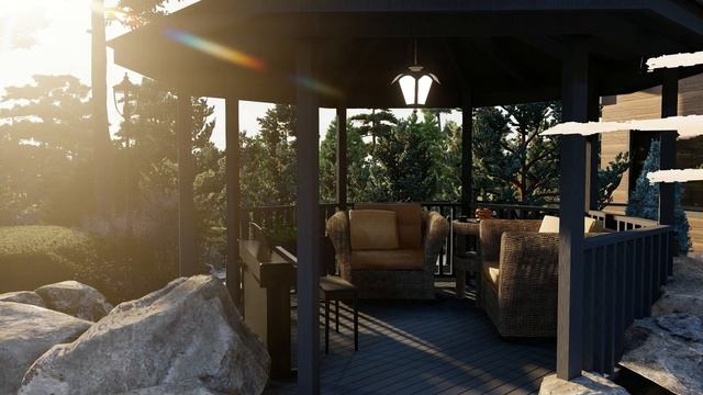 Видео для сайта