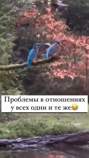 Интересно, в чем же он виноват?🤣