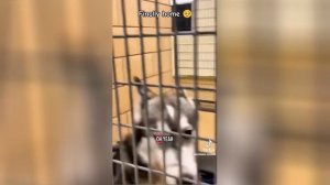 Best video of Tik Tok! 20.07.25 / 04