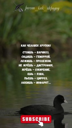 Мудрые Слова Сбалансированности