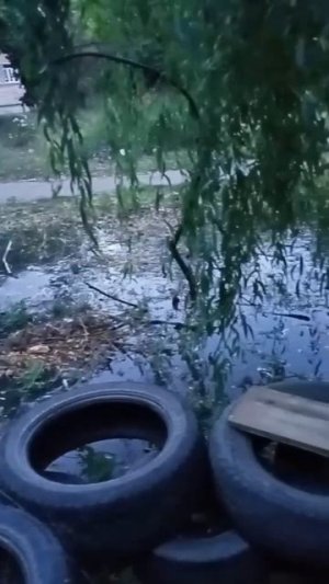 Донецк. Текстильщик. Ул. Островского, возле школы 92 четыре года не могут даже прийти зафиксировать