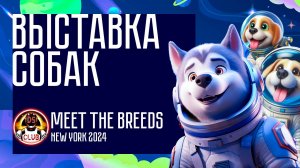 Собаки, которые покорили Нью-Йорк — репортаж с выставки AKC Meet the Breeds | DiSmart-CLUB Media
