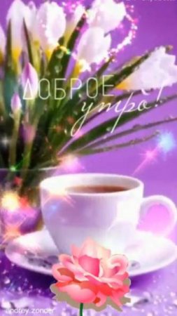 Доброе утро!) Замечательного дня!) #доброеутро