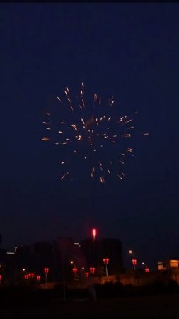 SB146 Пельмень хаус  49*0,8