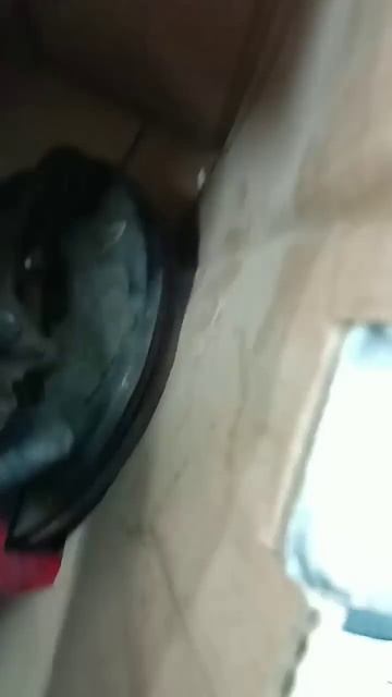 Дождались ништяков на Субару #automobile #ремонт #painting #субару #subaru #impreza #SHEVAvaz смотреть онлайн