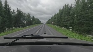 Кенворт - Т660. Продолжаем движение. Сломался, завожусь с буксира.