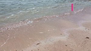 Обзор отеля Marina Sharm Naama Bay