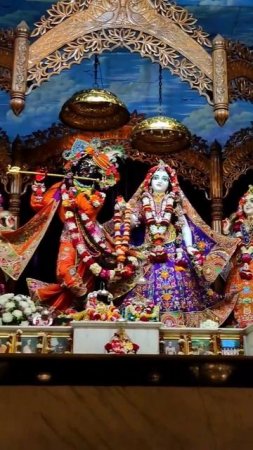 Panchatatva on Radha Madhava altar only once in five years #mayapur #panchatatva #shorts
