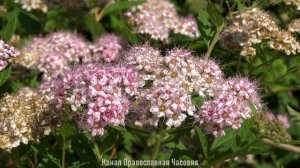 КАК ИЗБАВИТЬСЯ ОТ УНЫНИЯ И ПЕЧАЛИ - СВЯТОЙ ЕФРЕМ СИРИН