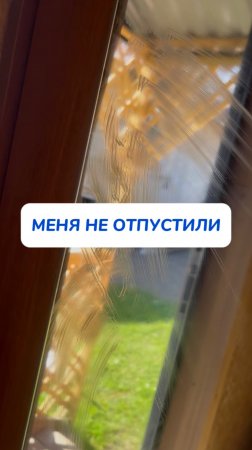 Меня не отпустили