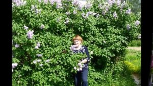 Навеки  - Автор музыка и поют Сергей Любавин и Татьяна Буланова