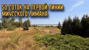 50 СОТОК С ВИДОМ НА МИУССКИЙ ЛИМАН ДЛЯ ИЖС, ЛПХ ИЛИ ПОД РЕКРЕАЦИЮ