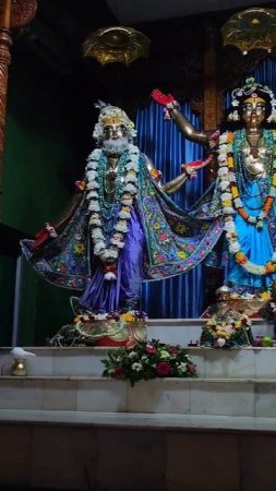 2024 || Chandana Yatra Panchatatva darshan #mayapur #panchatatva #chandanayatra #shorts