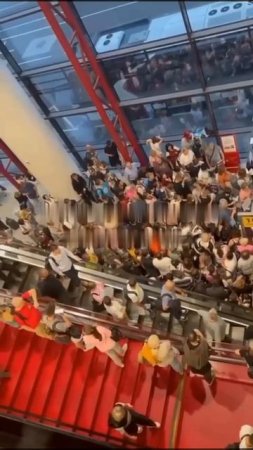 ✈️В Шереметьево настоящий коллапс✈️