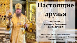"Настоящие друзья". Епископ Венёвский Феодорит.