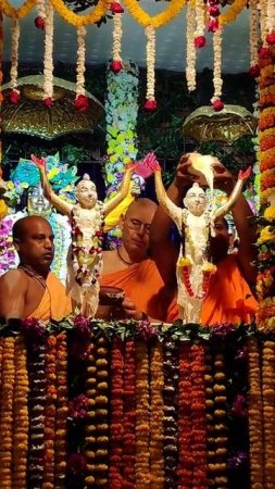 Abhishek, Nityananda Trayodashi in Mayapur Chandrodaya Mandir #mayapur #kirtan #abhishek #shorts