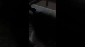 планшет в телефоне телефон в планшете и кошка 🐱