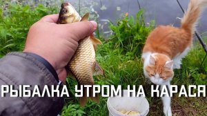 Рыбалка утром на карася летом в Подмосковье на удочку