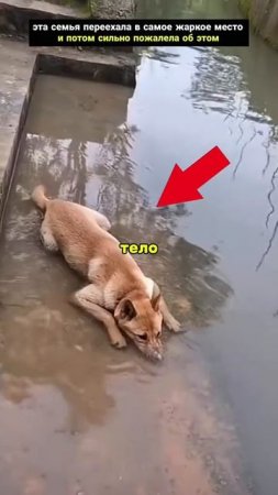 Самое жаркое место в мире!!!