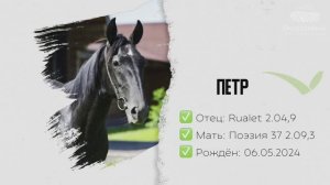 ПЁТР «V» (Руалет – Поэзия) 06.05.2024 г.р.