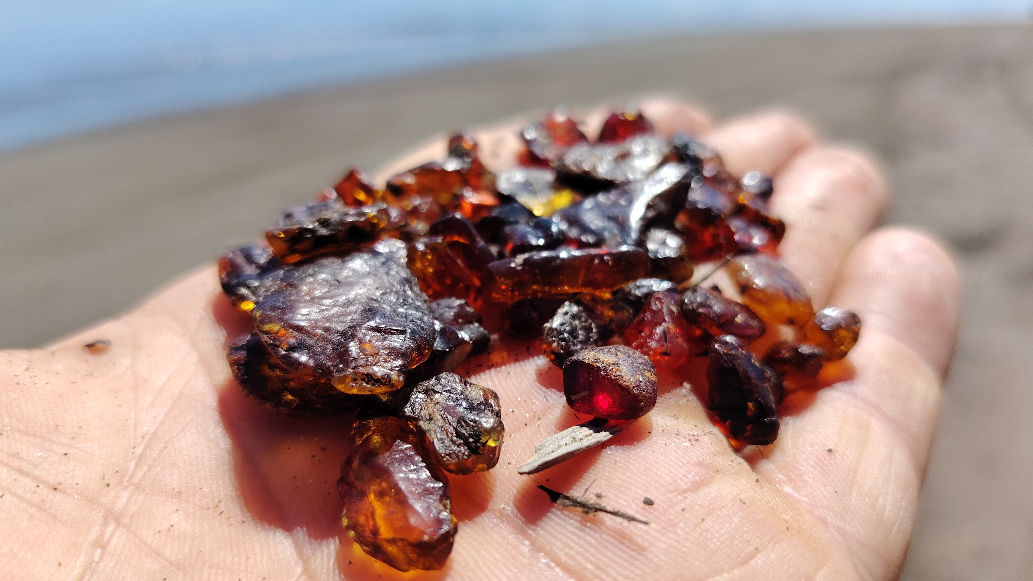 Находки Окаменелость | Древние листья | Прогулка на море | Природа Остров Сахалин | Дальний восток смотреть онлайн