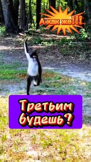 Отзывчивый