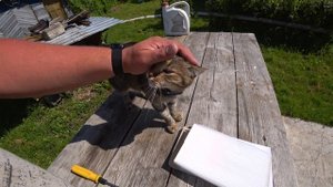 замена фильтра nissan aze0