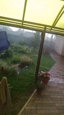 Дождь в саду🌧️