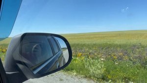 На поле тапки грохотали)