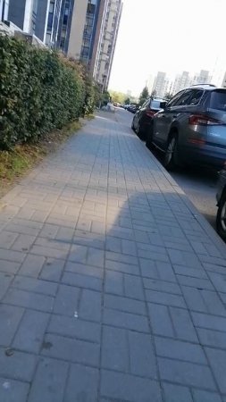 Дворы адм. Черокова