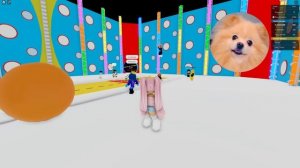 НОВЫЕ ДЫРКИ В СТЕНАХ - ПРОЙДИ ЧТОБЫ ВЫИГРАТЬ В РОБЛОКС ! Hole in the Wall ROBLOX