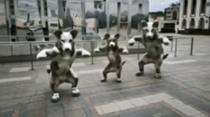 1000044337.mp4