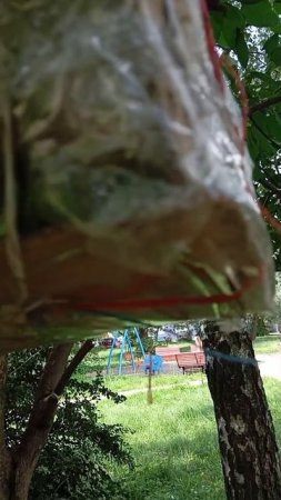 19.07.25. положила корм в ближнюю кормушку для белочек, которую в этот же день, чуть позже заменю