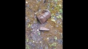 Запчасть НЛО в лесу UFO Part in the Forest