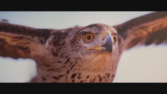 Сокрушить великих. смотреть онлайн