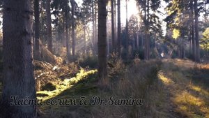 ЭРОЗИЯИ ГАРДАНАКИ БАЧАДОН. УСУЛХОИ ТАШХИС.