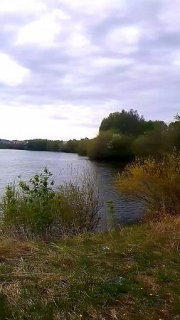 Озеро в деревне
