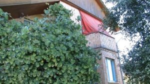 Дом снаружи