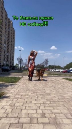 Карточка видео