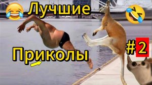 Лучшие приколы #2.😂😂😂 Смеялся до слез. 🤣🤣🤣 Самые смешные видео. 😆