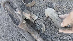 Интересное место с артефактами. коп металла и монет