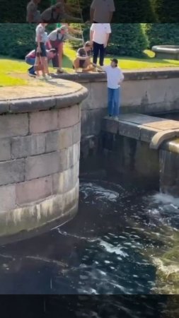 У Морского канала в Петербурге прохожие всеми силами пытались выловить из воды бельчонка
