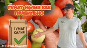 Гумат калия как добиться максимального эффекта.