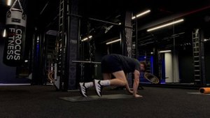bear crawl (Проходка медведя)