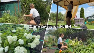 Дачный влог №24 🍓 Когда-то заброшенная дача | Хотим купить соседский участок?!