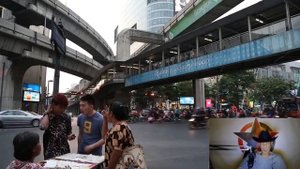 Эволюция и Социум : Мировая Инверсия Доминирования