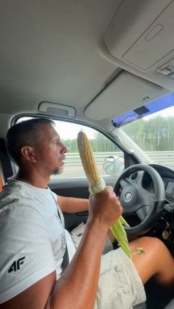 Дорога из Евпатории в СПб, 20.07.25 Средняя скорость 92 ки в ч. 29 часов. 1 час на мост.