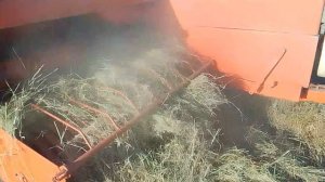 VID_20250720_191336.mp4 заготовка сена МТЗ 80 и пресподборщик #сезонконтента RUTUBE